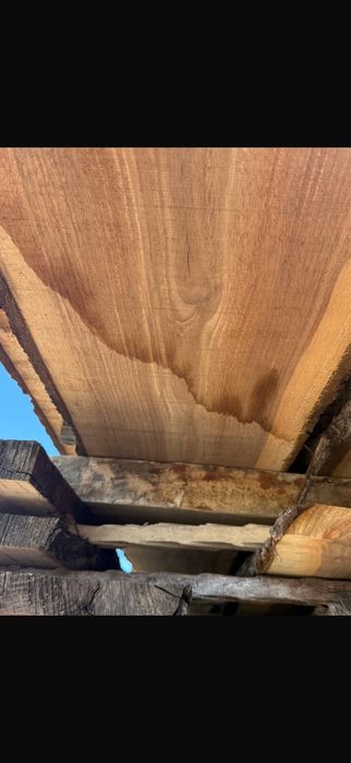 Cherestea de Nuc Negru American