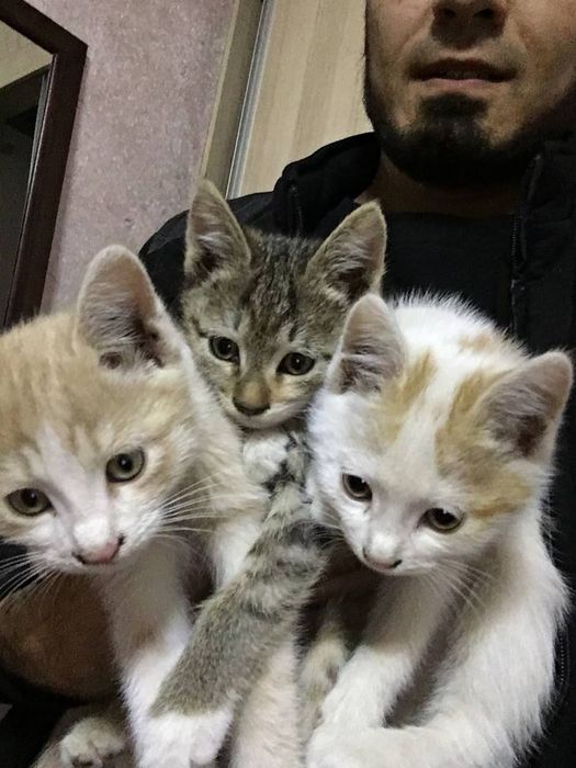 Muahukla tekin boqsa boldi yaxshi tel