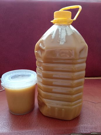 Продам мед оптом от 100 кг. по 1500 тг.