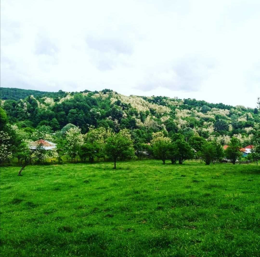 vânzare teren lângă Slanic Prahova zona deosebita