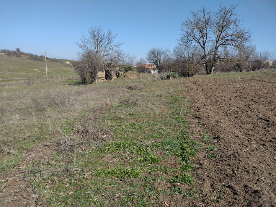 Дворно място в с. Тенево, Ямболско