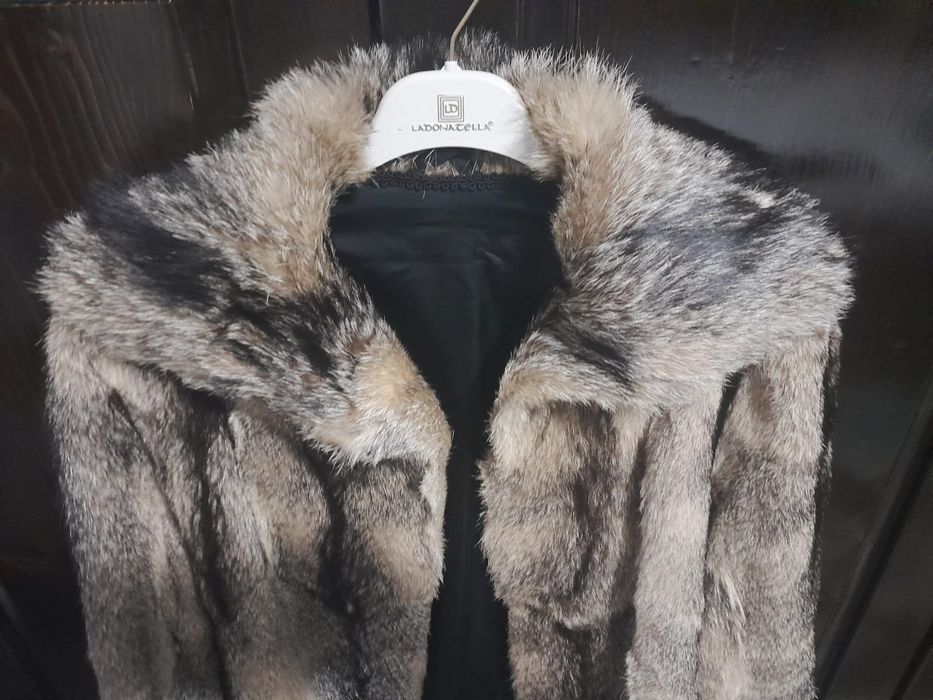 Blana naturala vulpe canadiana