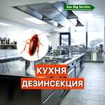 Дезинфекция Дезинсекция  Дератизация  бизнес обьекты
