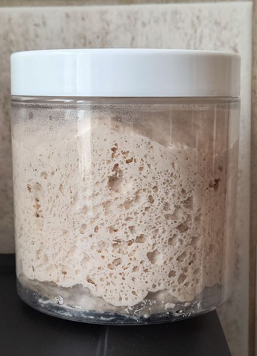 Maia naturala bio Lievito Madre din făină integrala și alba 550 eco