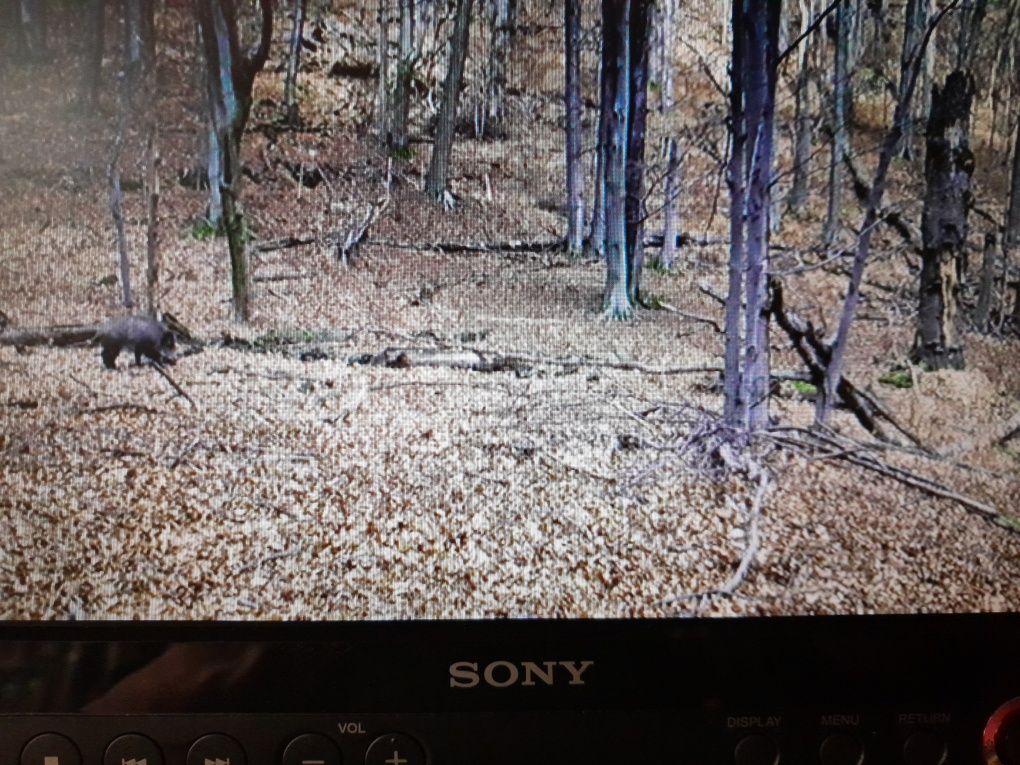 Vând DVD Player Sony