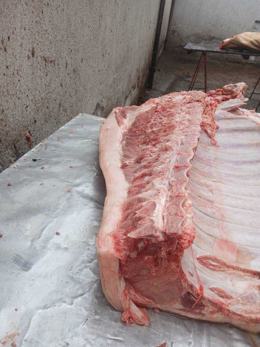 Продавам добре гледани БИО прасета