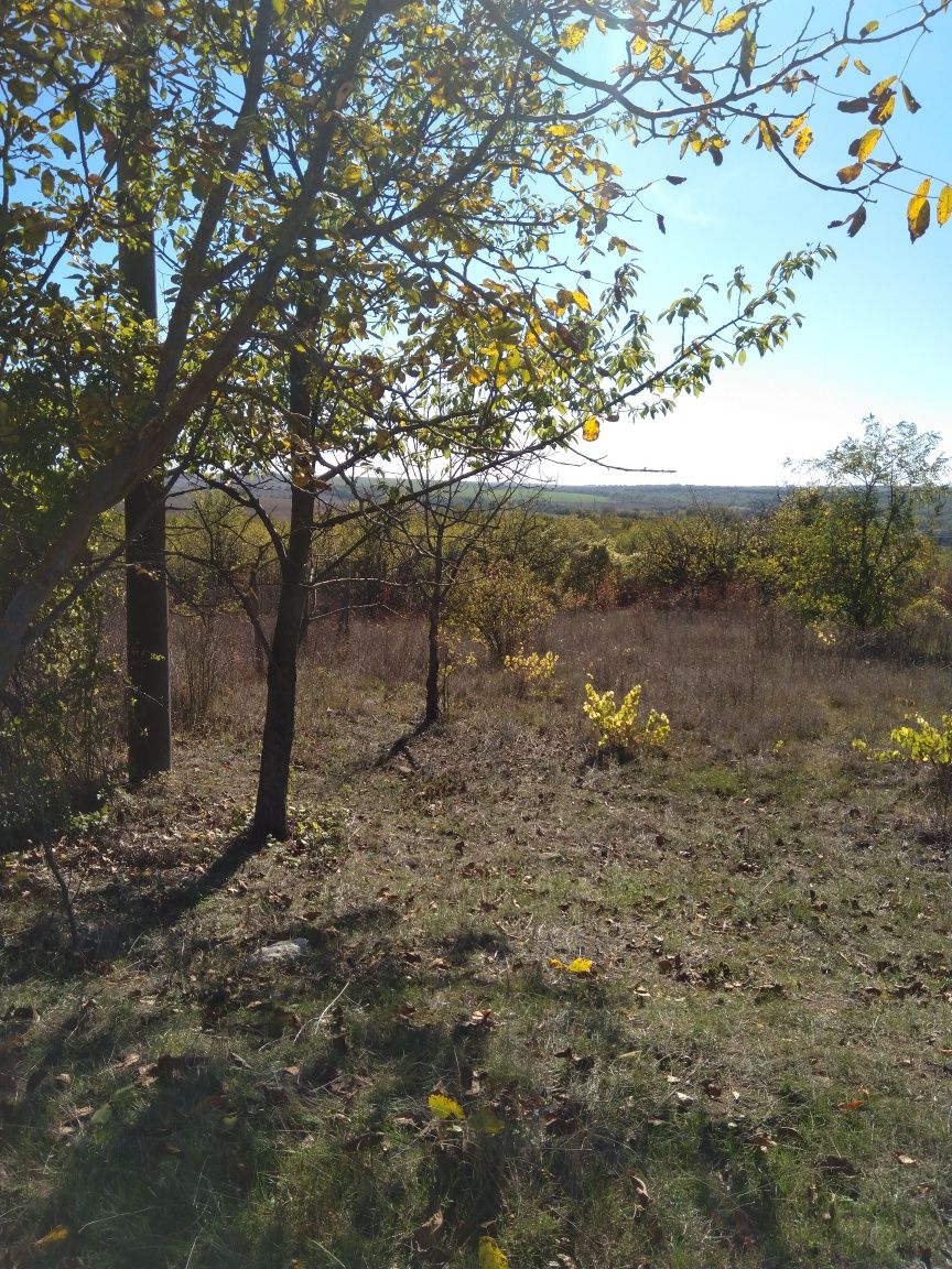 Парцел с.Орешак обл.Варна