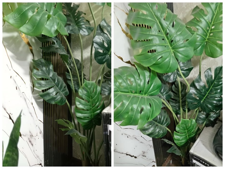 Срочно, Герани 500