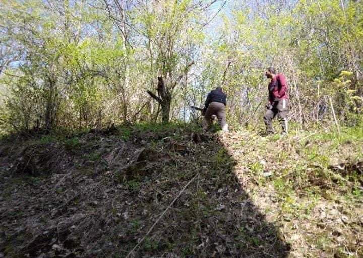 Рязане на опасни дървета и почистване на дворове