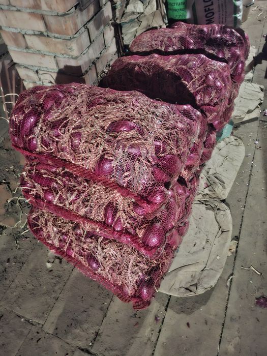 Vand ceapa rosie lunguiata si ceapa galbena