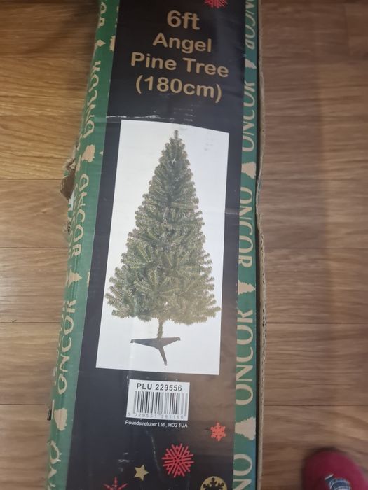 Елха 1.80см висока