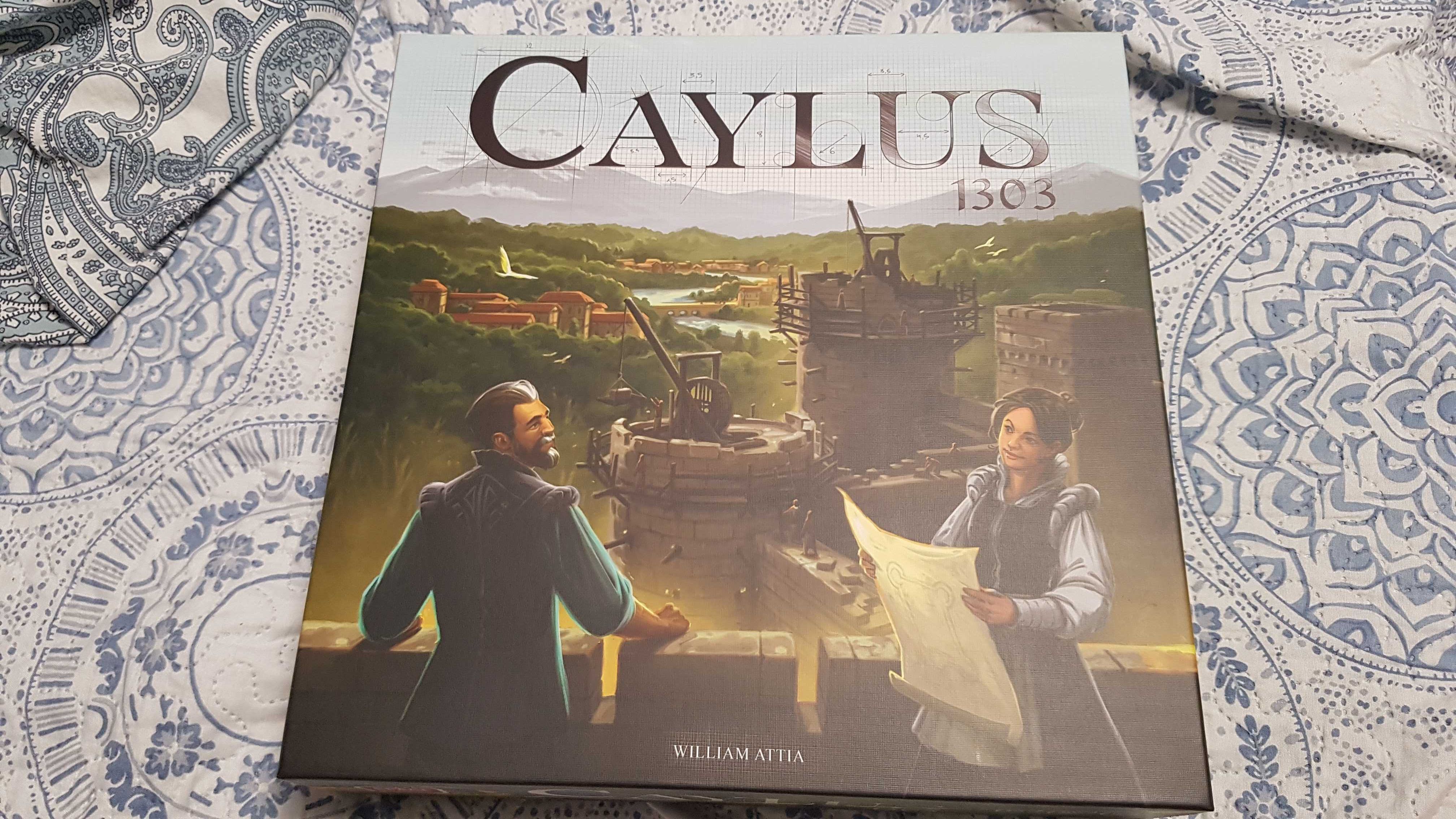 Vand boardgame caylus 1303