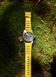 Автоматични часовници Fisherman Perch (механизъм Seiko NH35)