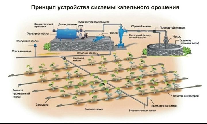 Томчилаб сугориш хизмати