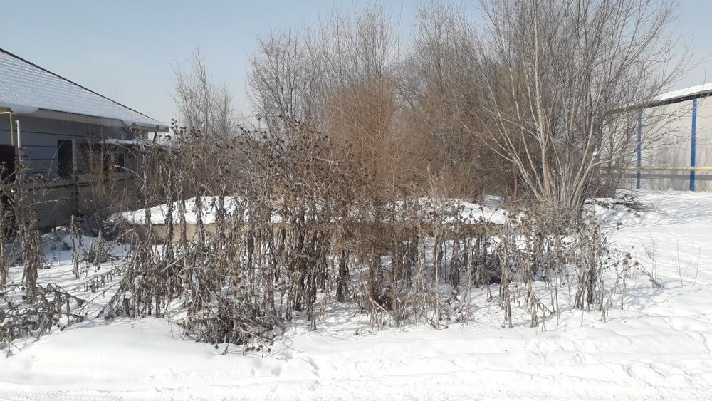 Срочно продам участок