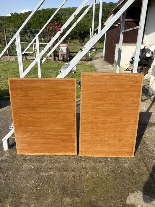 Paneluri usi termopan