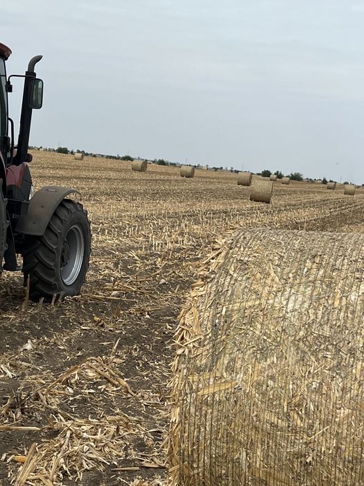 Vând baloti de coceni rotunzi (asigur transoprt contra cost motorina)
