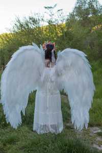 Ангелски криле за фотосесия