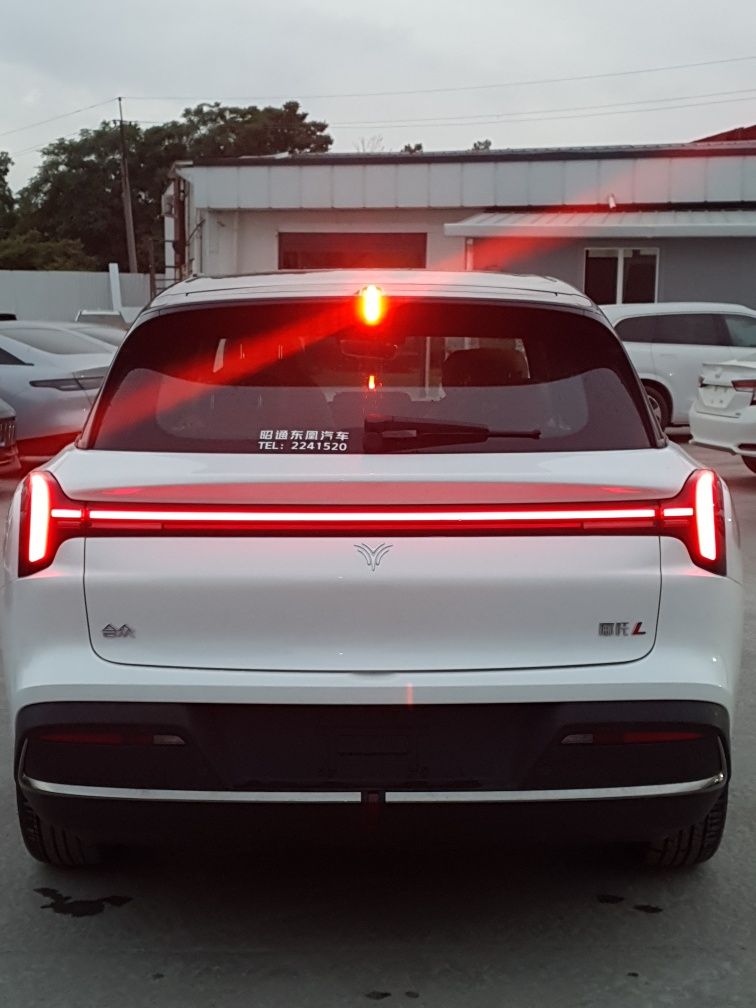 Neta L. Hybrid.2024. RWD.