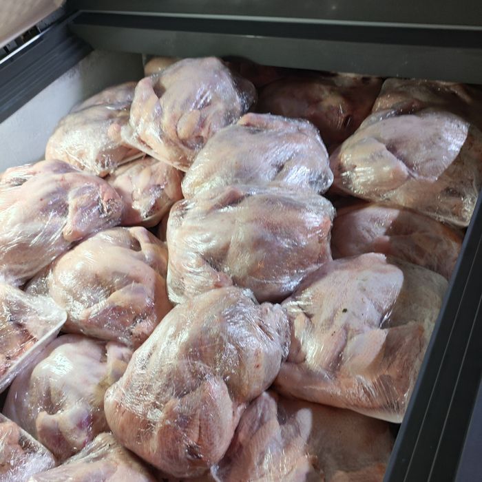 Бройлер құс еті тауық мясо птицы окорочка бройлера тушки балапан цыпля