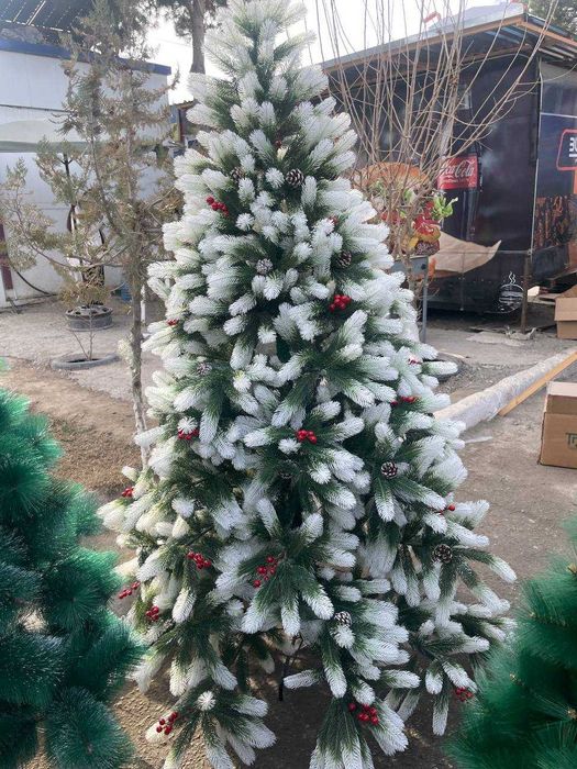 Archalar 50smdan 5metrgacha! Ёлки от 50см до 5метр! Елки