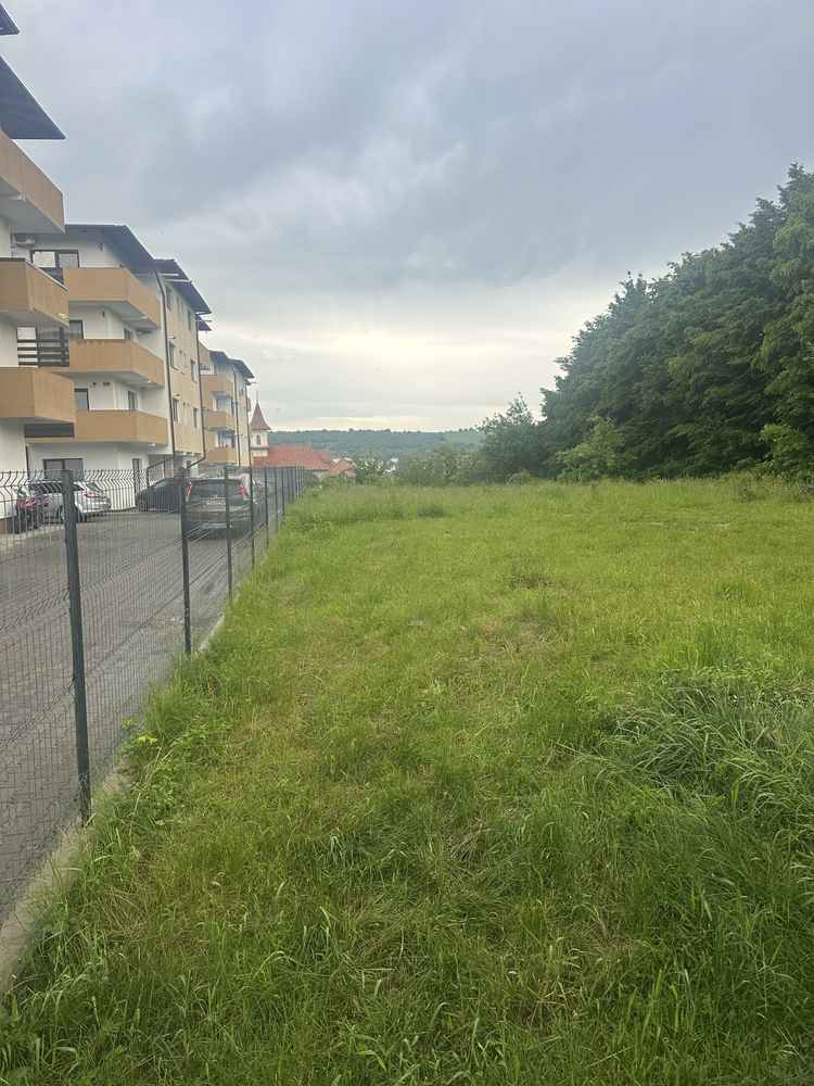 Teren la asfalt  intravilan  central cisnadie