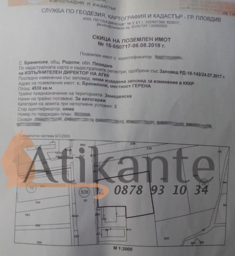 Продава се Парцел в с. Браниполе, Област Пловдив - 10000 кв.м за 80 €/кв.м - Снимка #10
