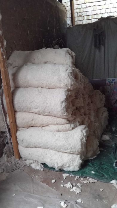 Paxta sotiladi  Пахта сотамиз