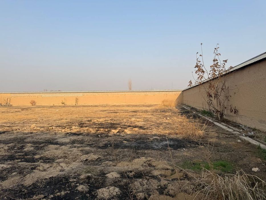 Кадастр бор Янгийул Коратепа тошкендан келганда арча ку́чага етмасдан