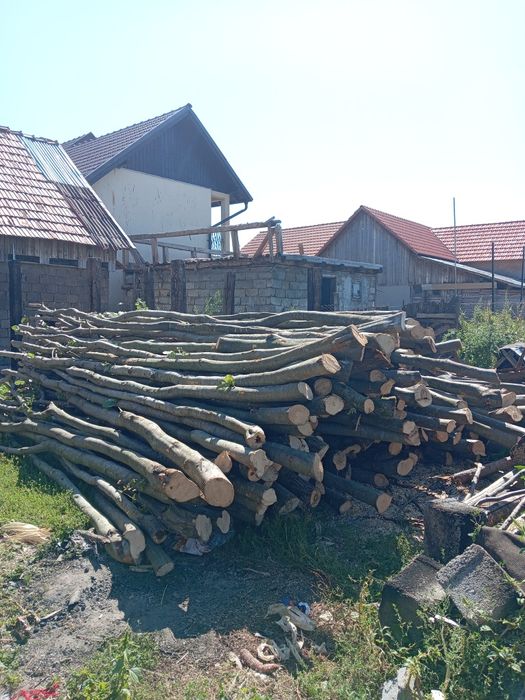 Vând lemne de pașune 600 lei pe căruță