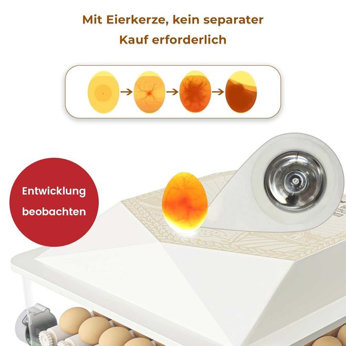 TRIOCOTTAGE инкубатор 56 яйца с автоматично обръщане и контрол