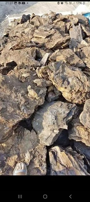 Carbune lignit pentru centrare