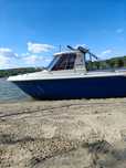 Barca cabinata Guy Marine 640 Suzuk DF 140
