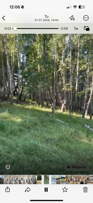 Pășune împădurită