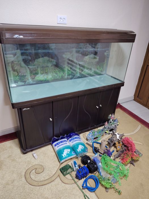 akvarium avalniy xitoy akvarium