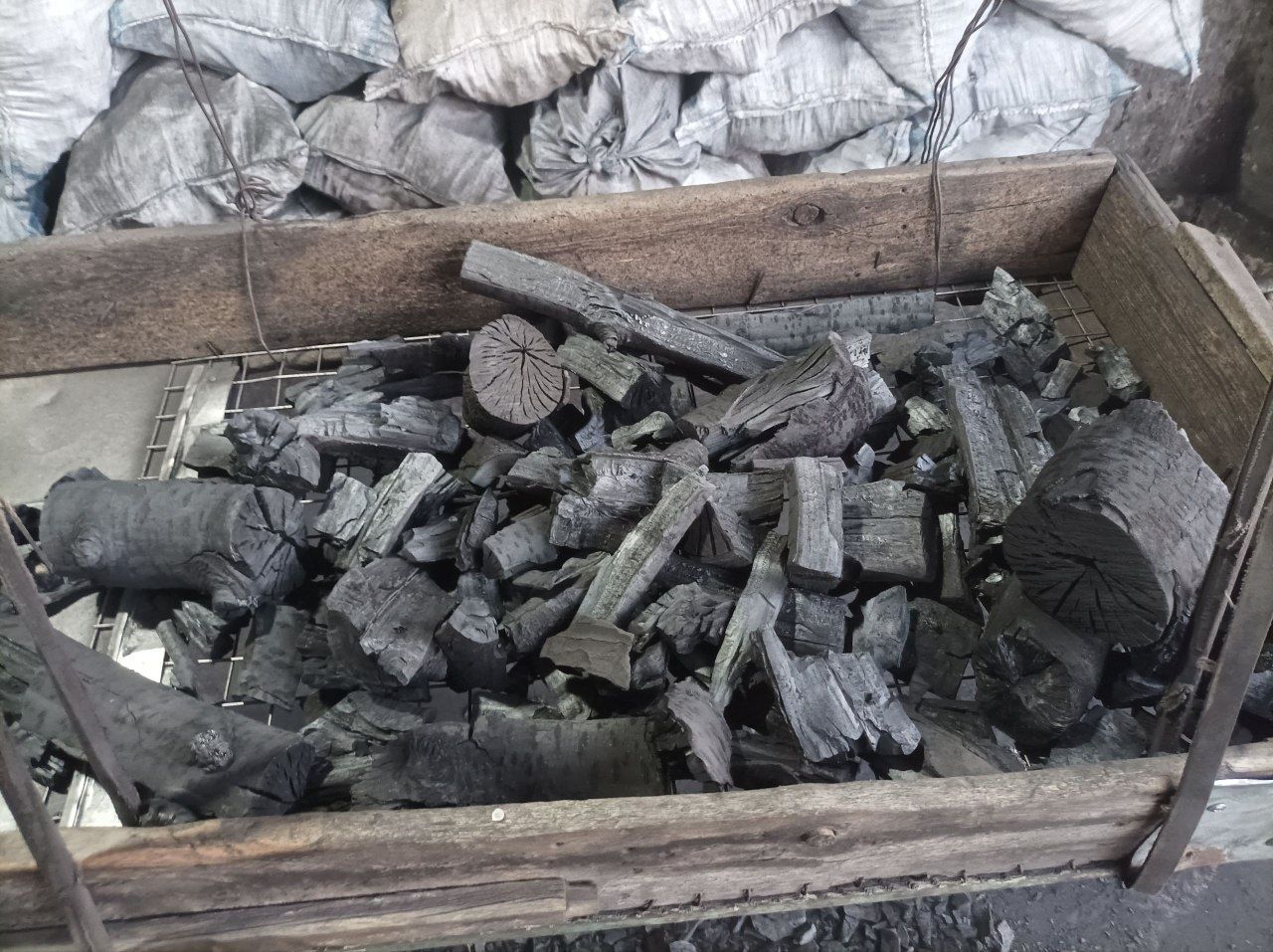 Pista komir kafe restaranlar uchun