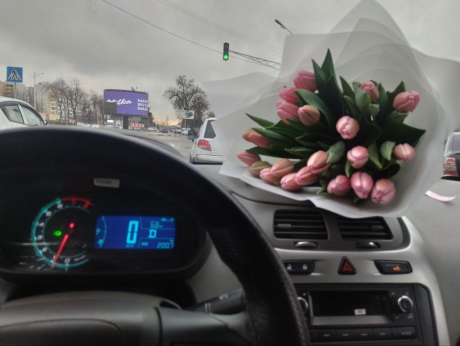 Oq cobalt holat zor idealni