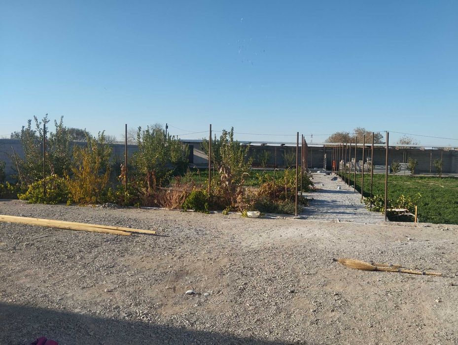 Нотурар жой бино