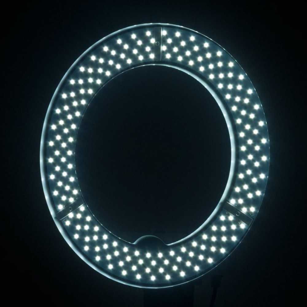 LED лампа Ring 10" - 8W - бяла/черна