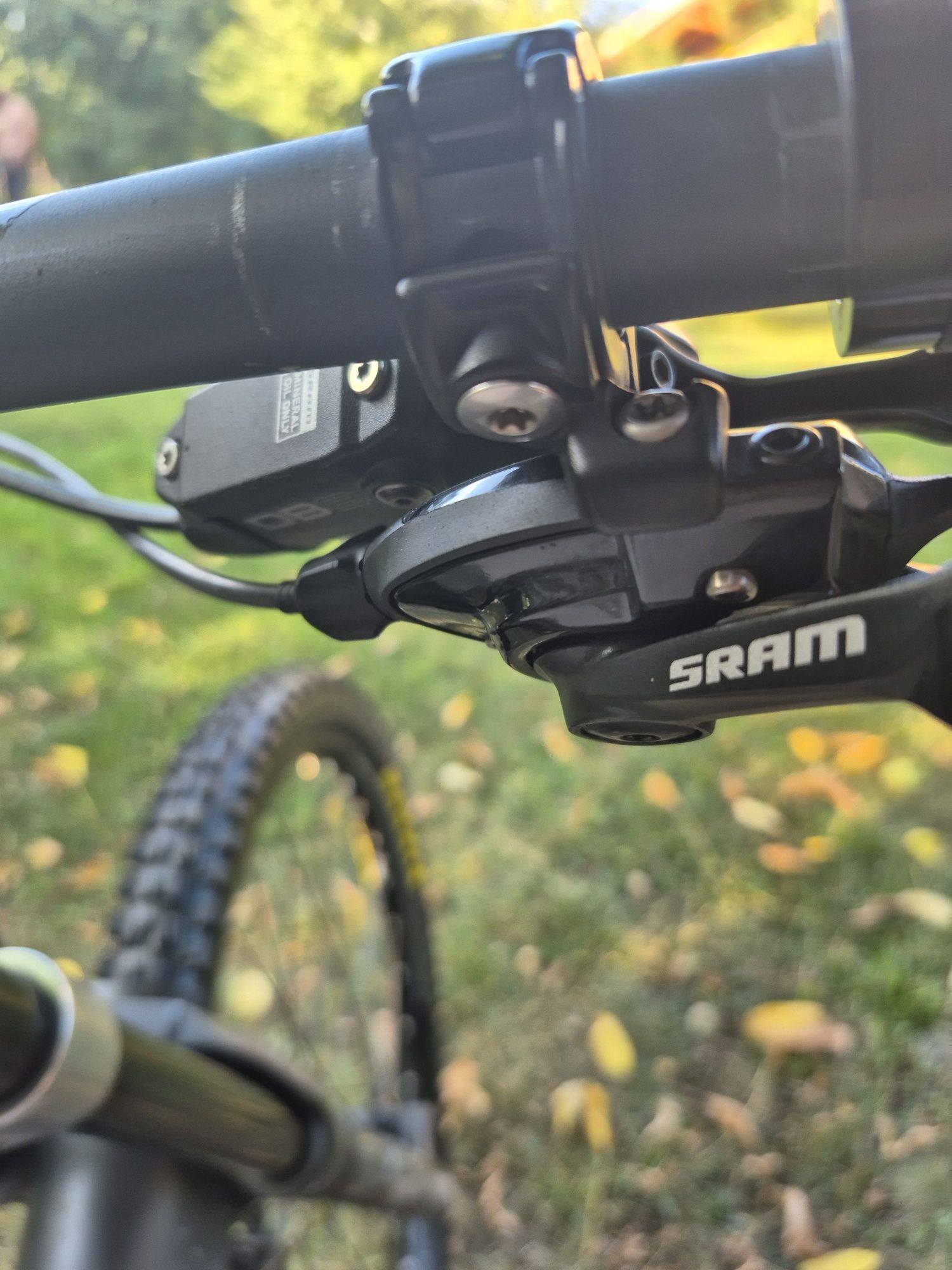 Scott GAMBLER 2023 M