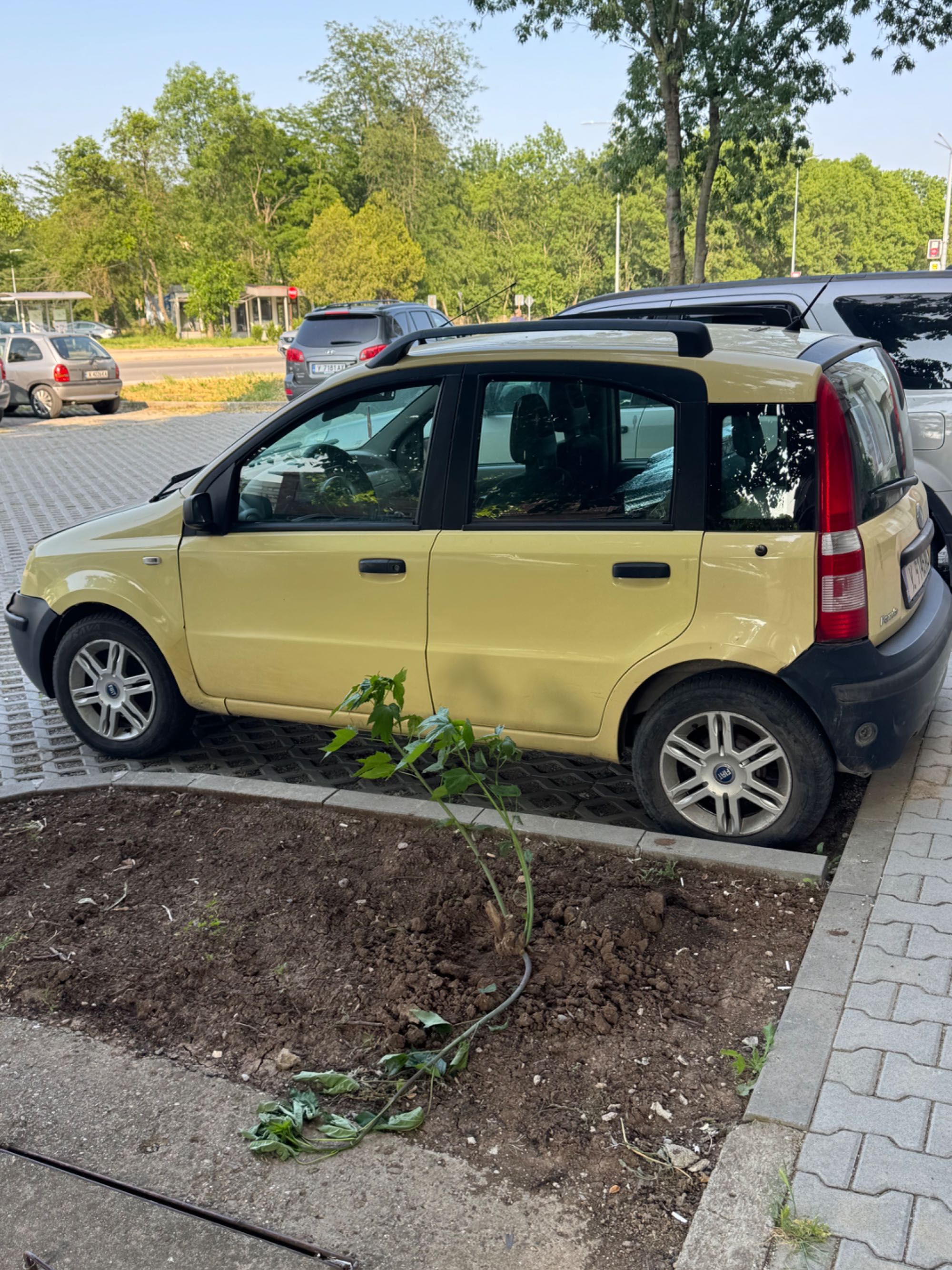 Fiat Panda 2007 година