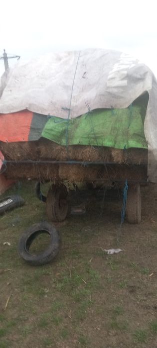 baloti de fan de vânzare