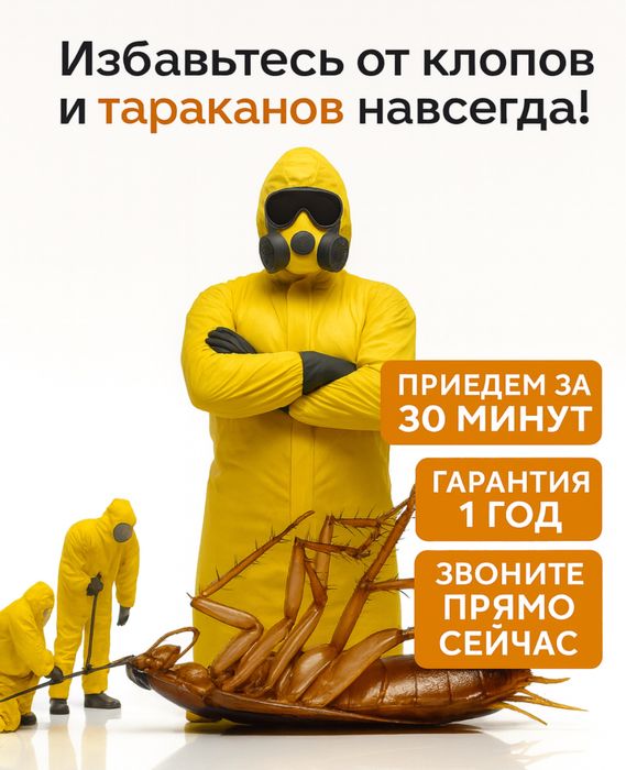 Быстрая дезинфекция от клопов, тараканов, блох — СЭС