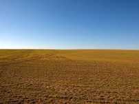 Teren agricol !!!
