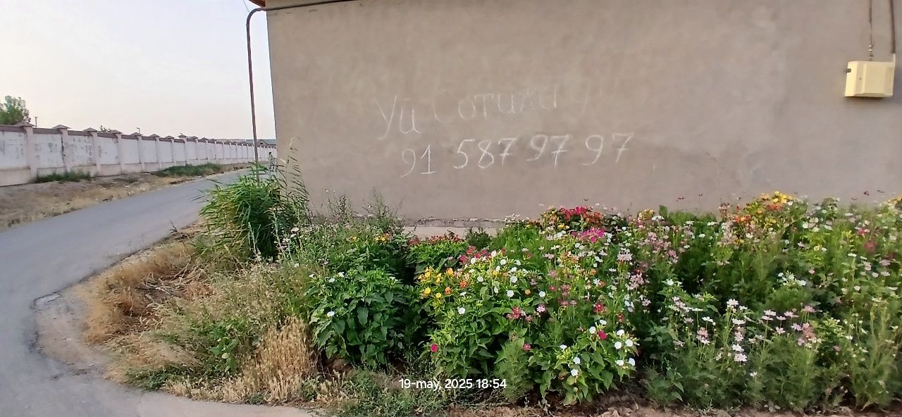 Sohildan xovli uy sotiladi