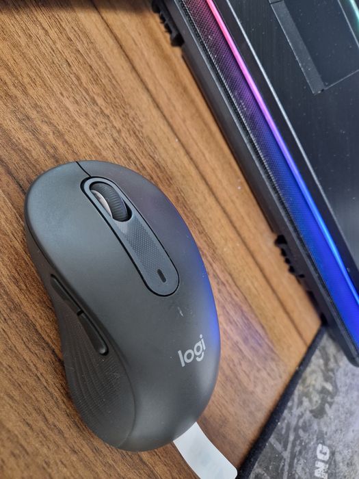 Mouse Logitech M650 L