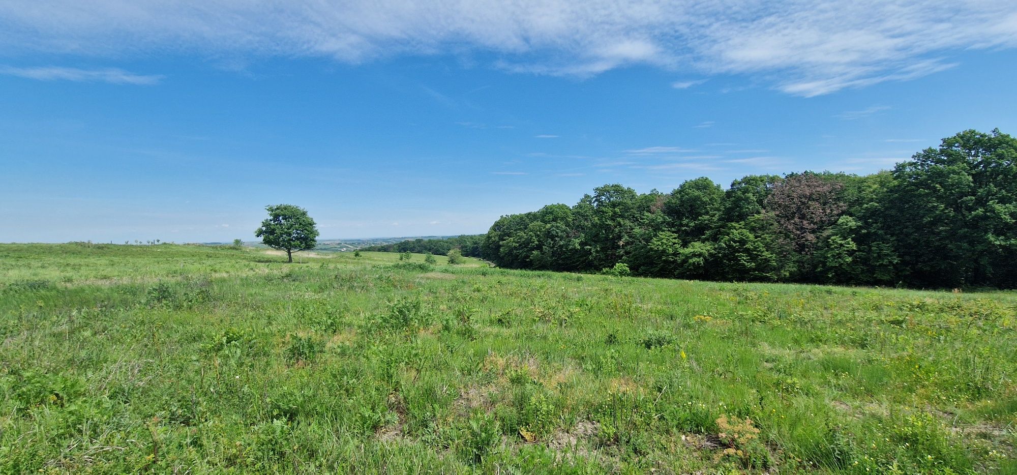 Vând Teren intravilan 3000 m2 Săldăbagiu de Munte lipit de Pădure