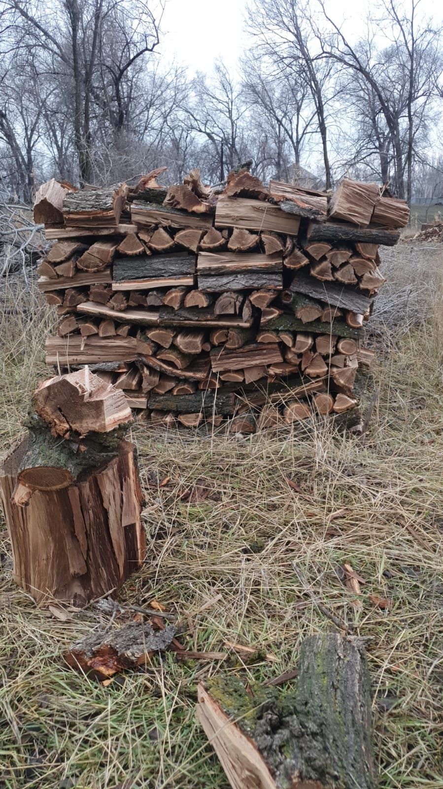 Дрова колотые карагач