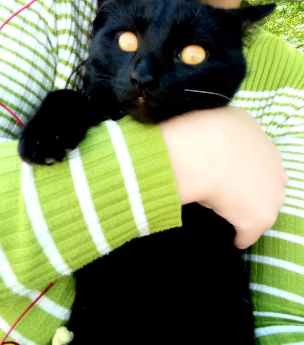 1 yosh Mushukchala hadyaga beriladi