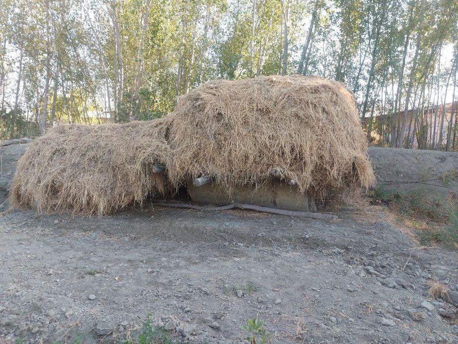 Beda sotiladi. Manzil Navbahor tumani Arab saroy QFY